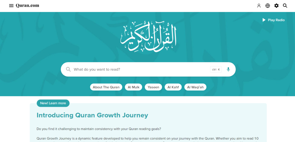 Top 9 Surah Yaseen Websites : quran. com