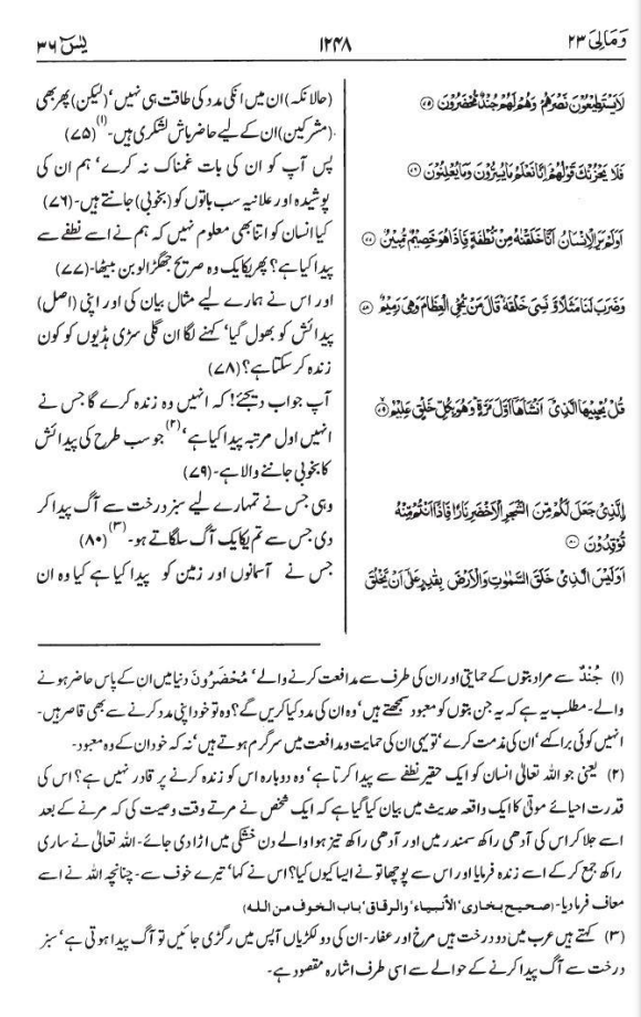 surah yaseen shareef in urdu Page no 17