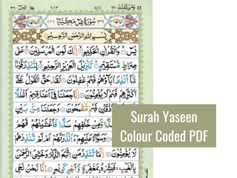 Surah Yaseen Colour Coded PDF | Download Surah Yaseen PDF Tajweed